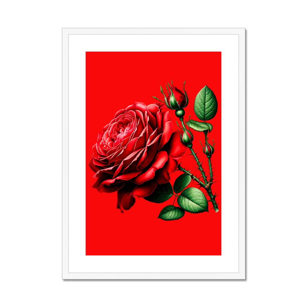 Red Rose Flower Framed & Mounted Print