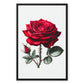 Red Rose Framed Canvas