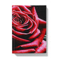 Red Rose Moody Hardback Journal