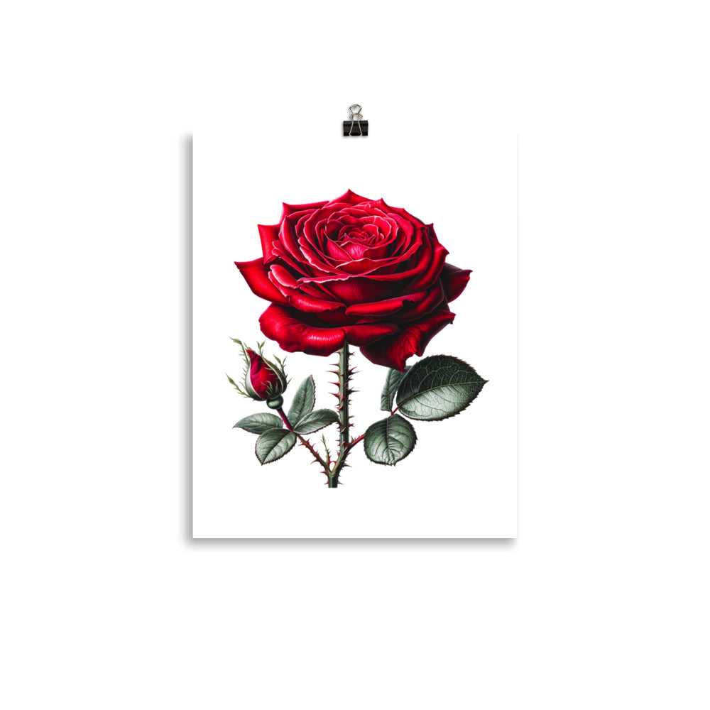Red Rose Photo Poster