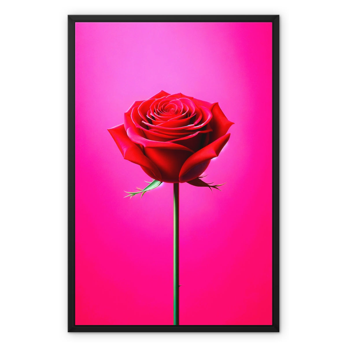 Red Rose Pink Framed Canvas