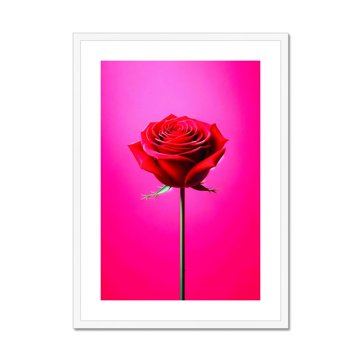 Red Rose Pink Framed & Mounted Print