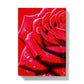 Red Rose Waterdrops Hardback Journal