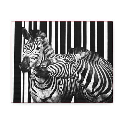 Two Zebras Canvas Print.