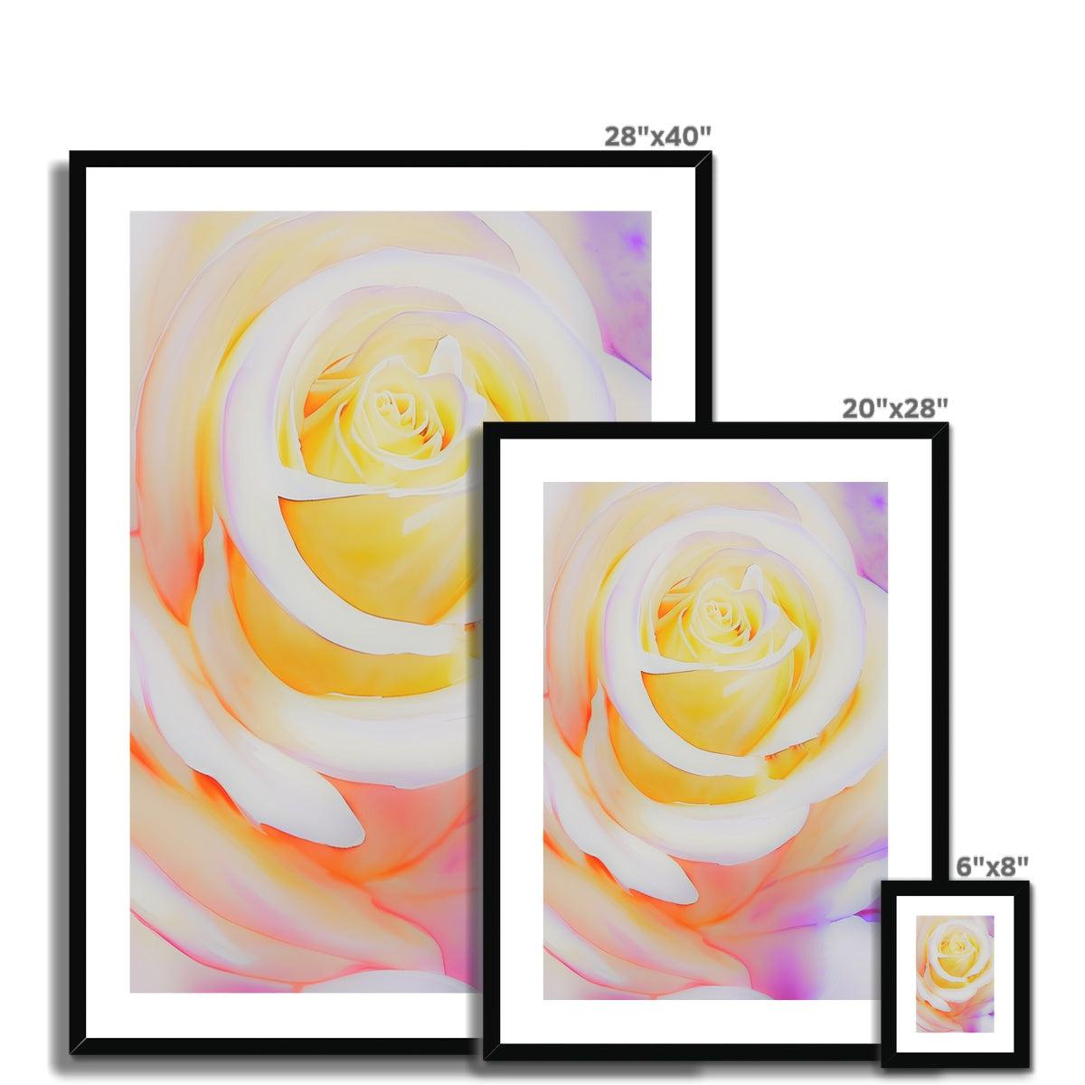 Cream Rose Framed & Mounted Print