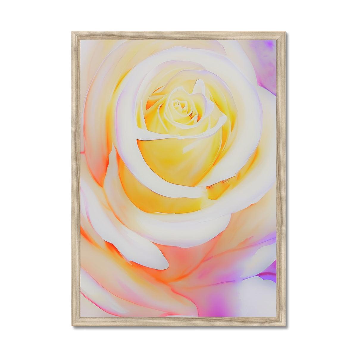 Cream Rose Framed Print