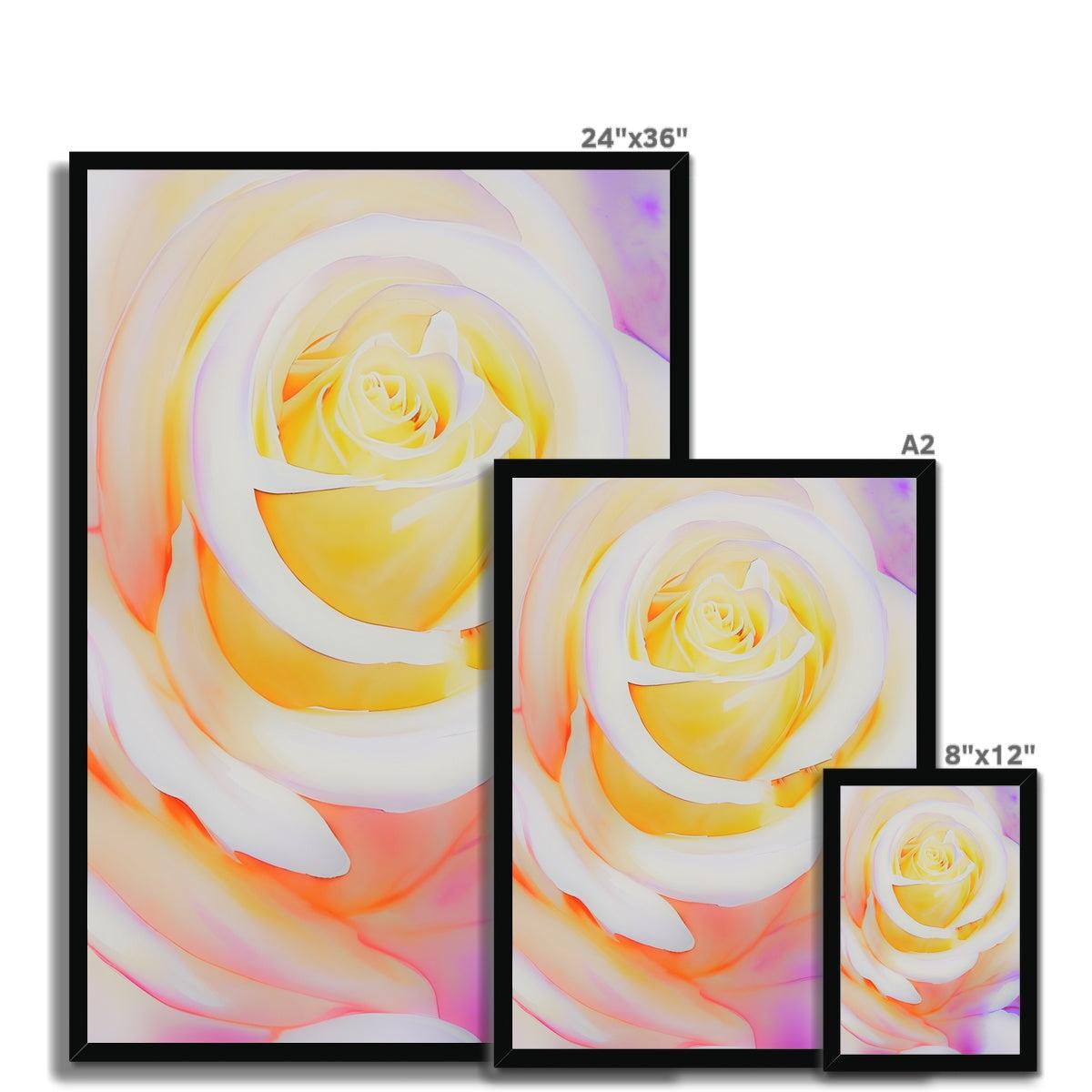 Cream Rose Framed Print