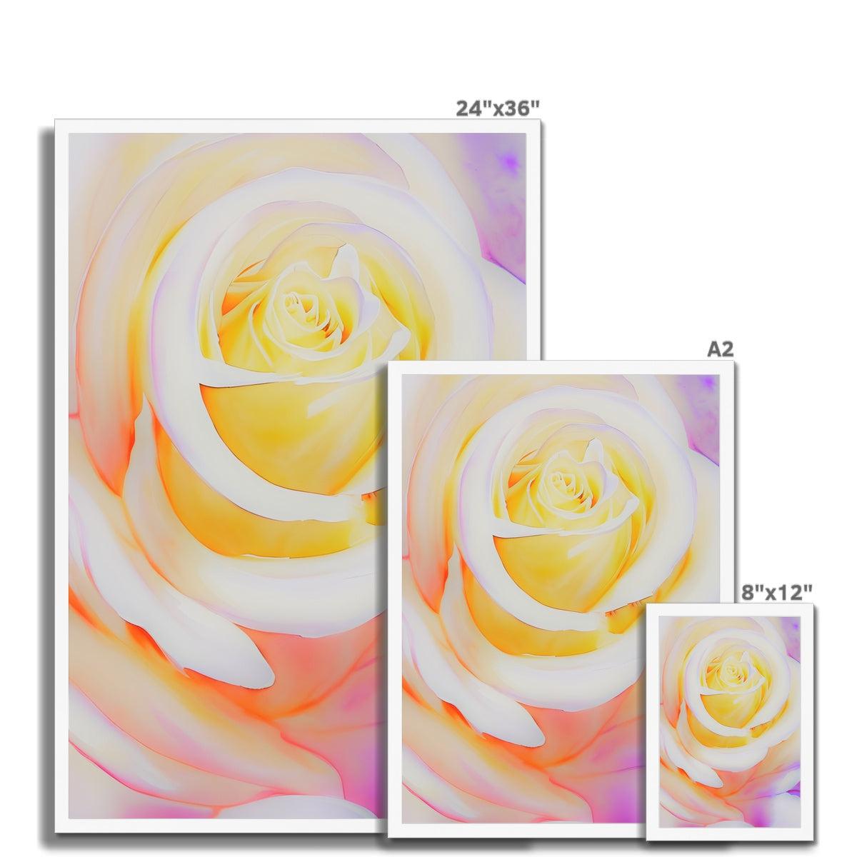 Cream Rose Framed Print