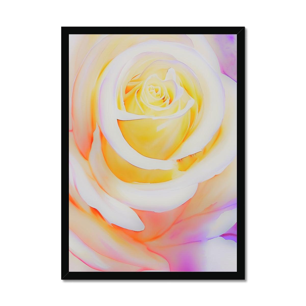 Cream Rose Framed Print