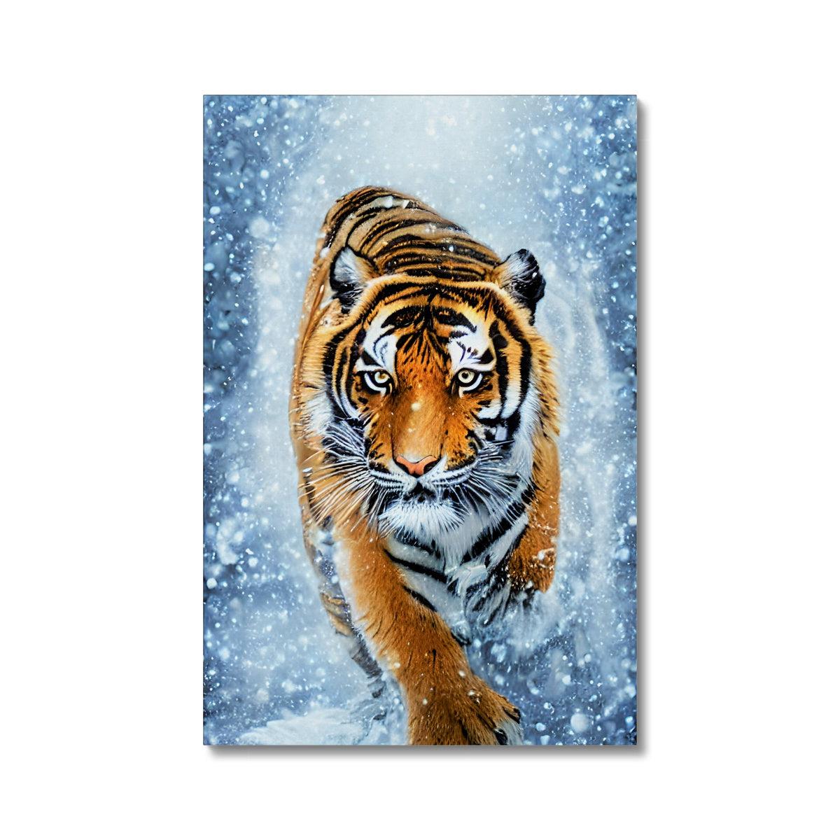 Tiger Snow Canvas
