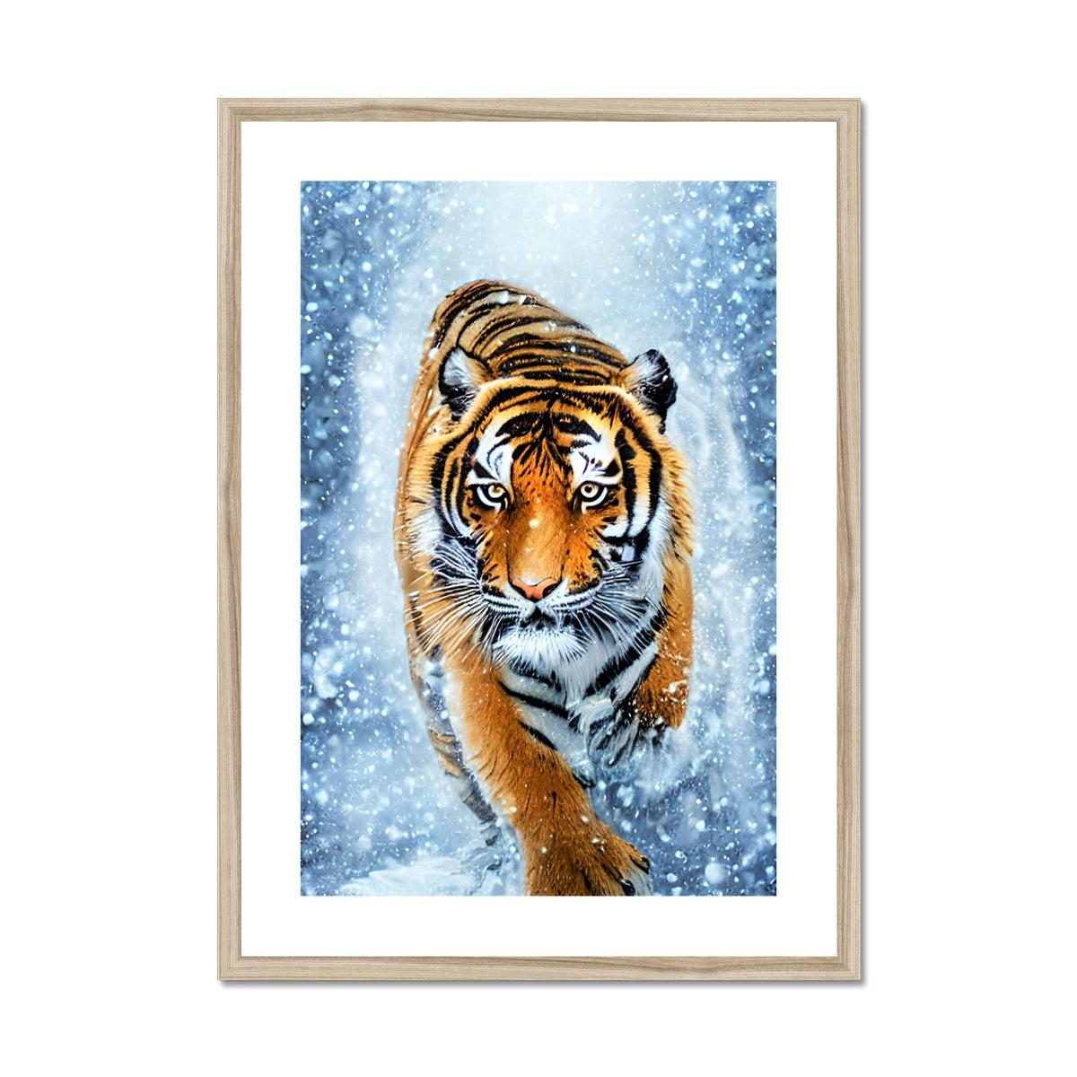 Tiger Snow Framed & Mounted Print