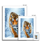 Tiger Snow Framed & Mounted Print