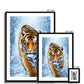 Tiger Snow Framed & Mounted Print