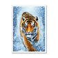 Tiger Snow Framed Print