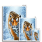 Tiger Snow Framed Print