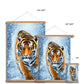 Tiger Snow Fine Art Print with Hanger