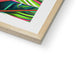 Tropical Leaves Framed & Mounted Print