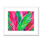 Tropical Pink Framed & Mounted Print