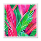 Tropical Pink Framed Print
