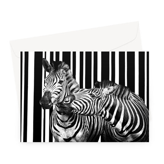 Two Zebra Greeting Card