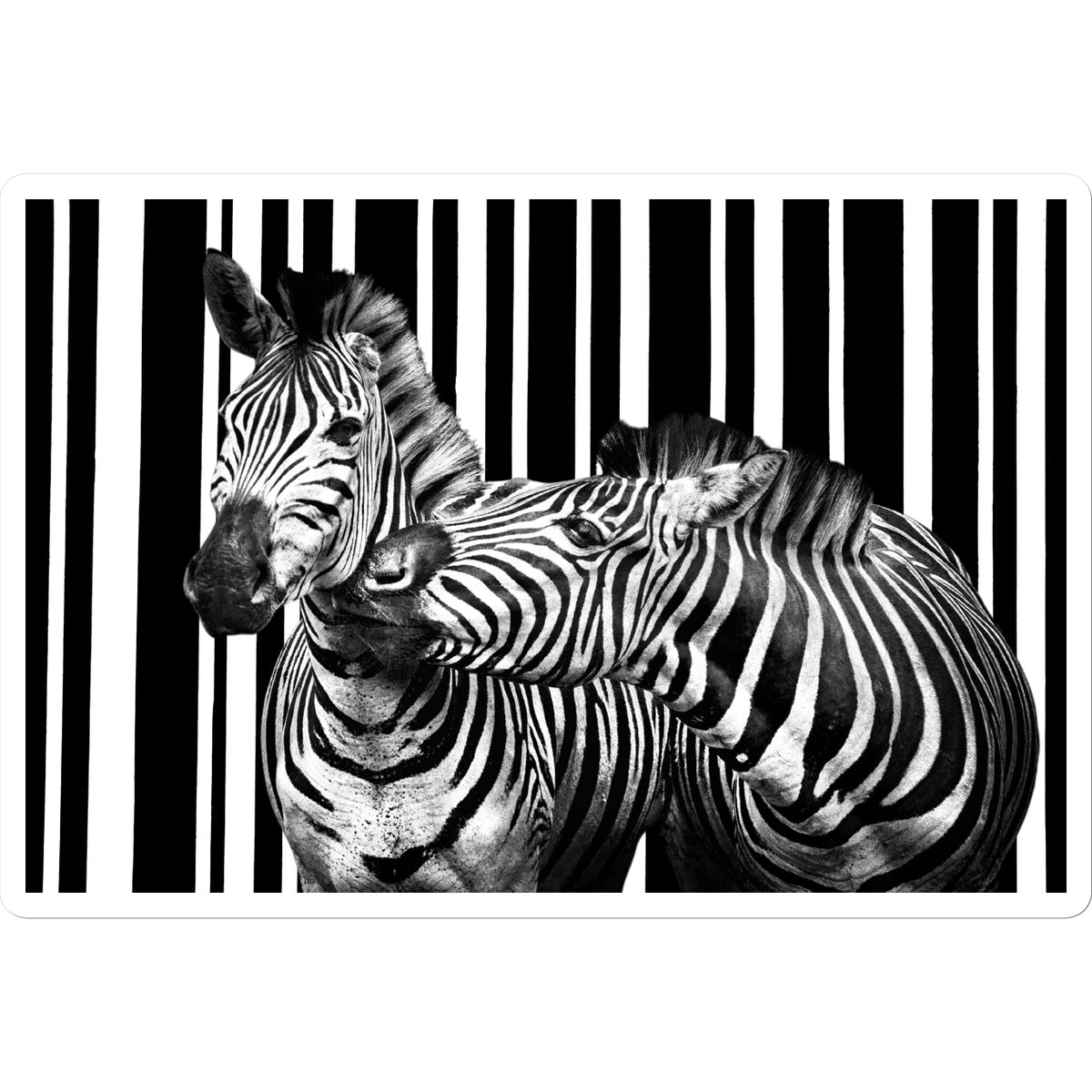 Two Zebra Sticker