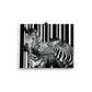 Two Zebra Photo Poster Print.