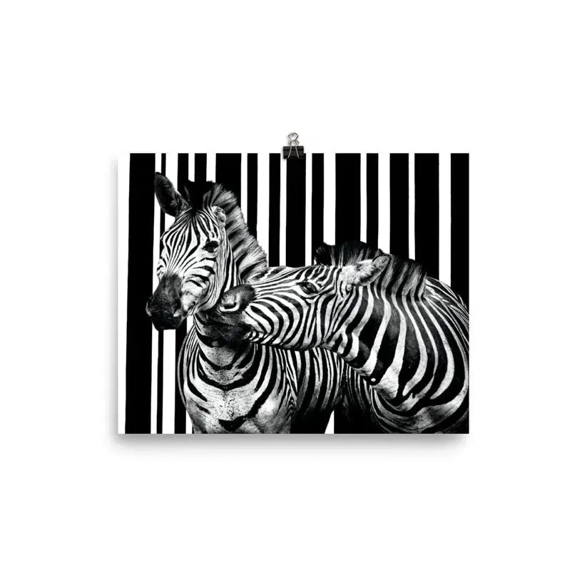 Two Zebra Photo Poster Print.