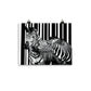 Two Zebra Photo Poster Print.