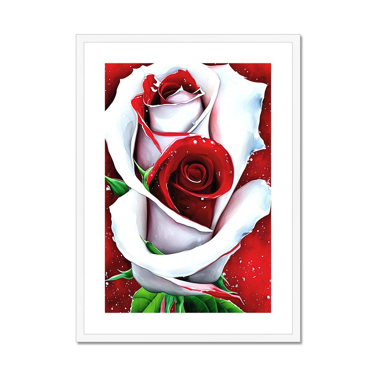 White Red Rose Framed & Mounted Print