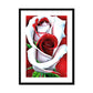 White Red Rose Framed & Mounted Print