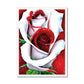 White Red Rose Framed Print