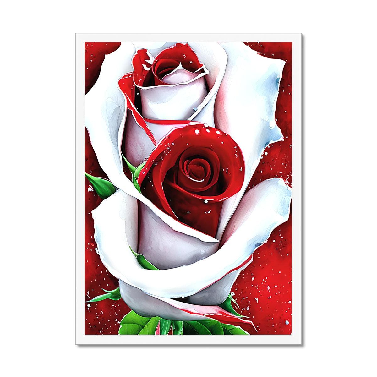 White Red Rose Framed Print