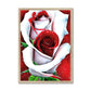 White Red Rose Framed Print