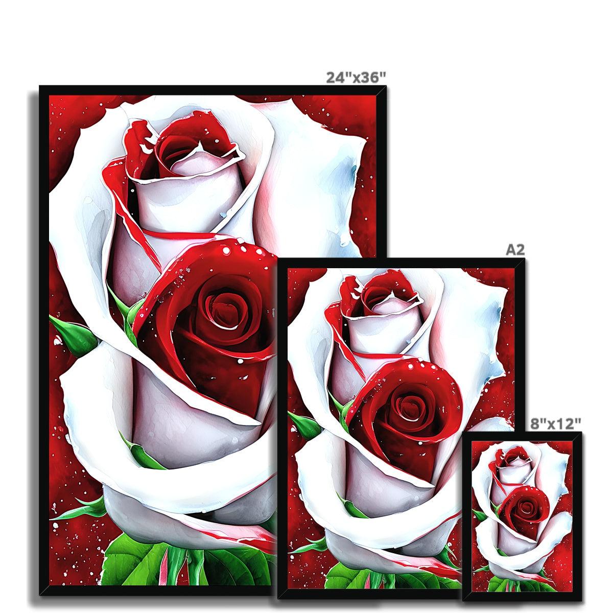 White Red Rose Framed Print