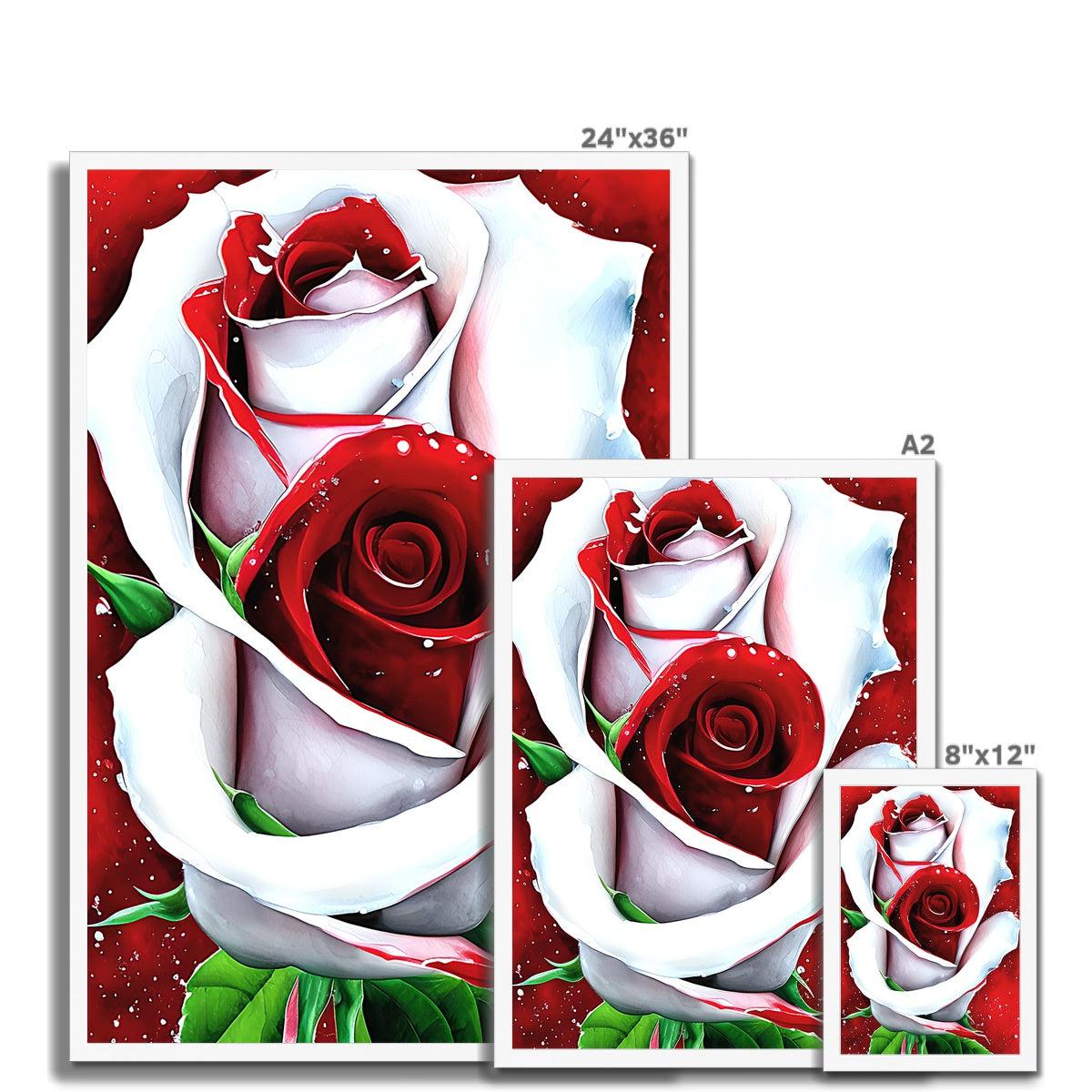 White Red Rose Framed Print