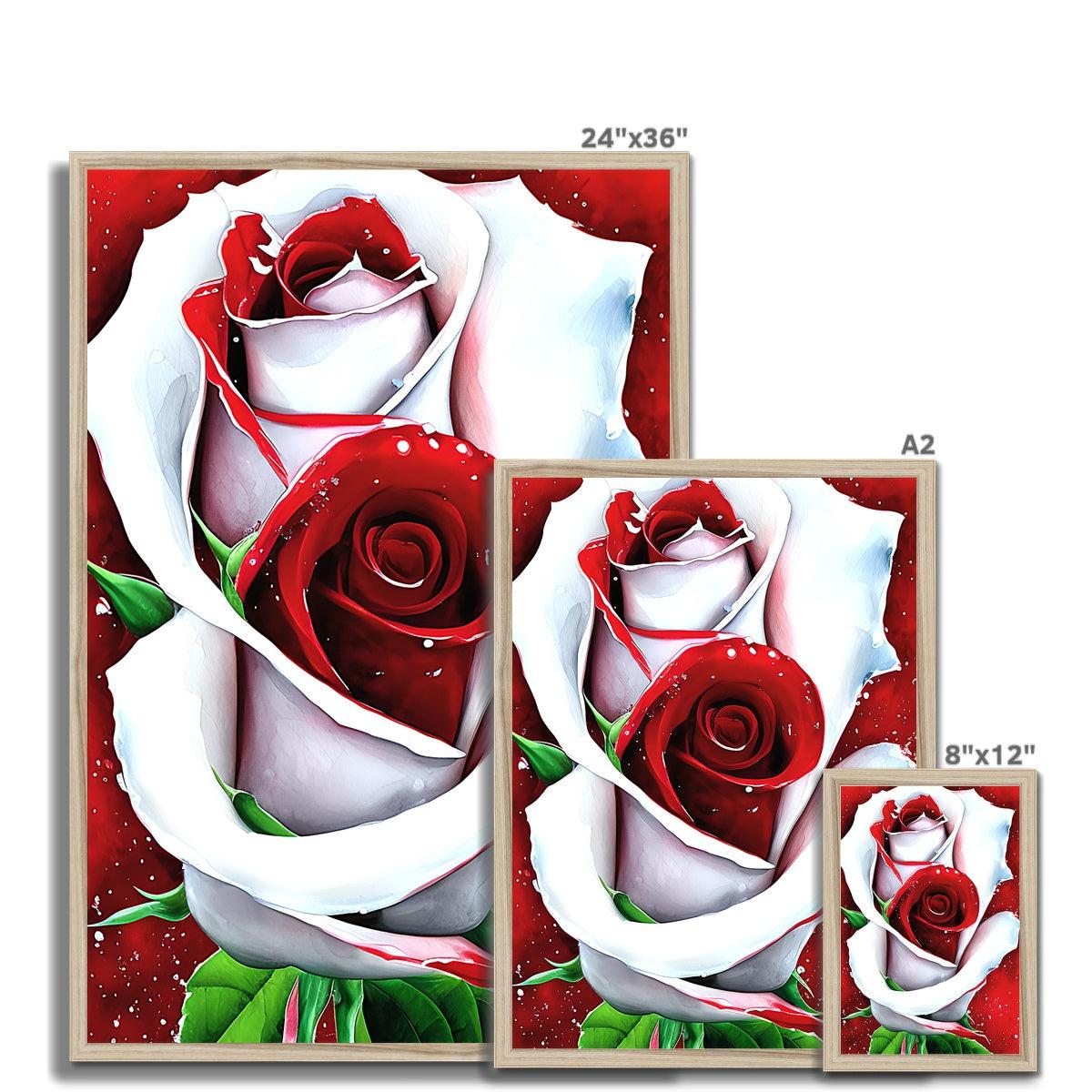 White Red Rose Framed Print